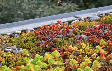 the cost of Nempnett Thrubwell green roof installation