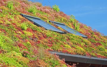Nempnett Thrubwell living roof systems